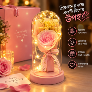 Eternal Love Rose Dome – A Timeless Romantic Gift (Pink) 💙
